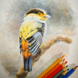 Птица на ветке