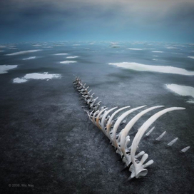 На краю света