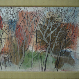 белые стволы