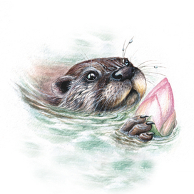 Речной садовник