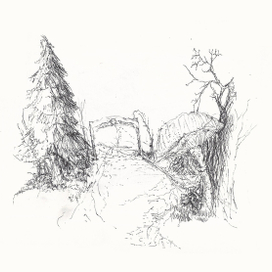 Грибной мир3