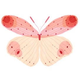 Розовая бабочка. Детская книжная иллюстрация