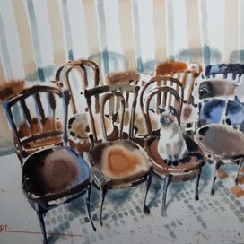 девять стульев, один кот