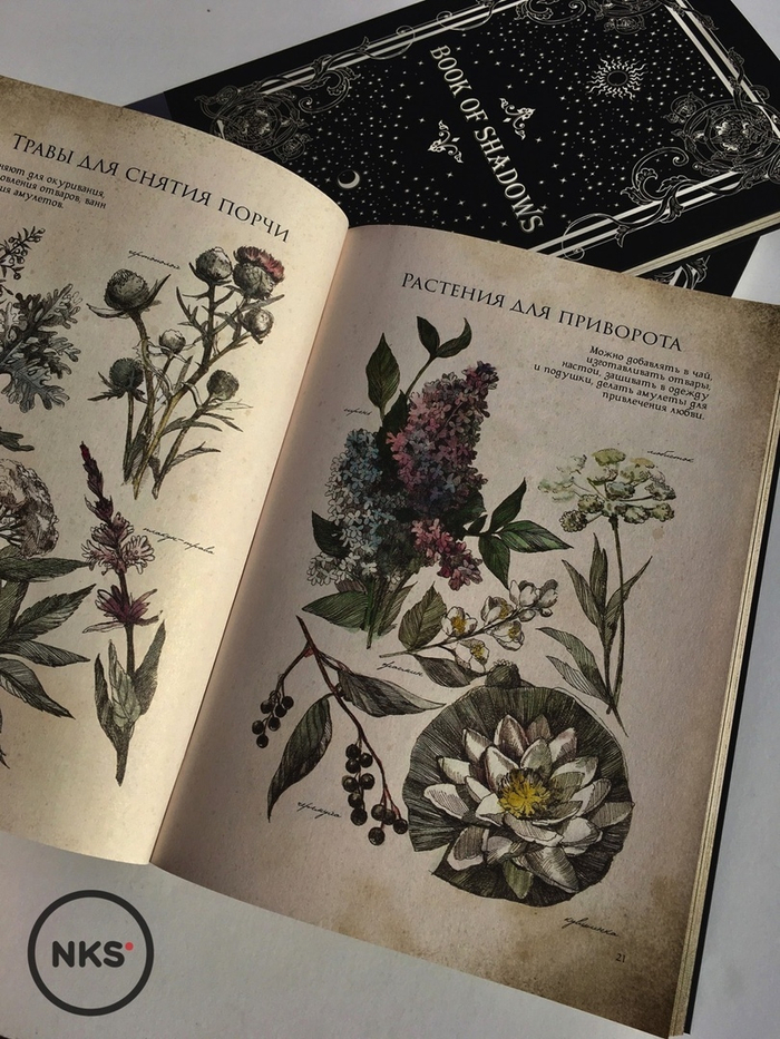 Ботаническая иллюстрация для книги теней от 