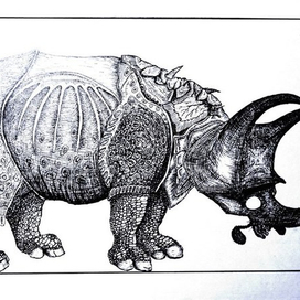  Rhinocerotidae