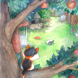 вид на дворик