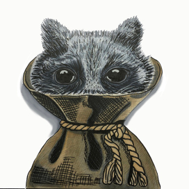 Енотик в мешке