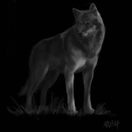 Wolf