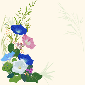 Полевые цветы для открытки