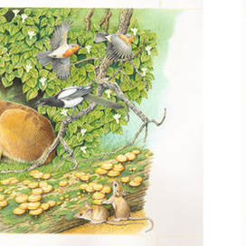 Иллюстрации к книге "Бемби"