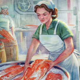 Иллюстрации для каталога на сайт