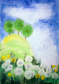 одуванчики