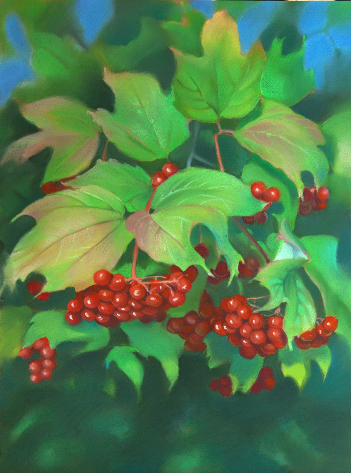 Осенняя калинка