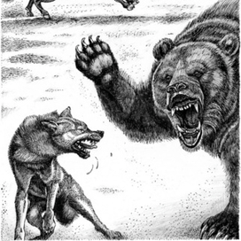 Ты с дуба рухнул?!