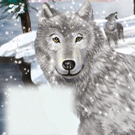 Волк серия дикие животные