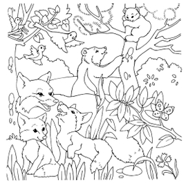 Познавательная раскраска о природе