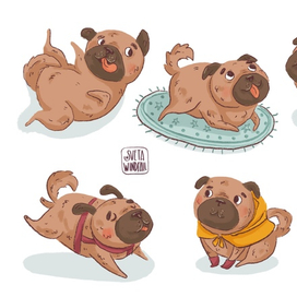 Dog Character design 