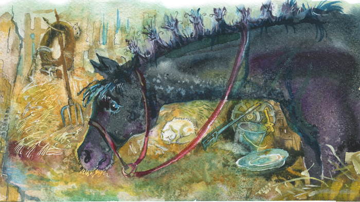 Чёрный конь