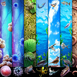 под оглавление