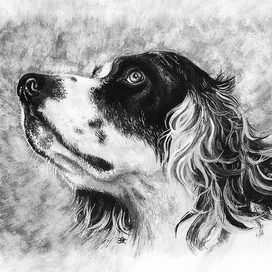 Англичанка