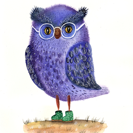 Blue owl