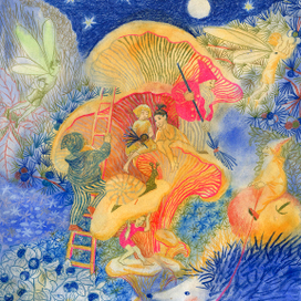 В Волшебном лесу