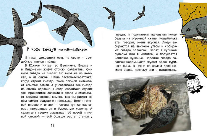 Кто без крыльев живет_15