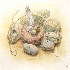 старые гнёзда