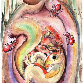 Белка в дупле