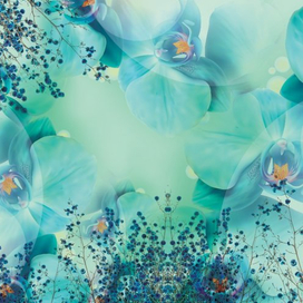 Дизайн фотообоев