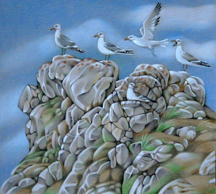 Береговой патруль 2