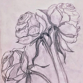 Быстрый набросок роз 