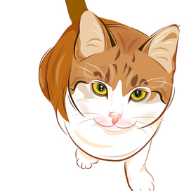 Портрет рыжей кошки