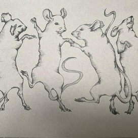 Мышки зажигают🪩