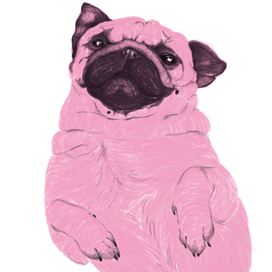 Принт "Лайчи мопс"