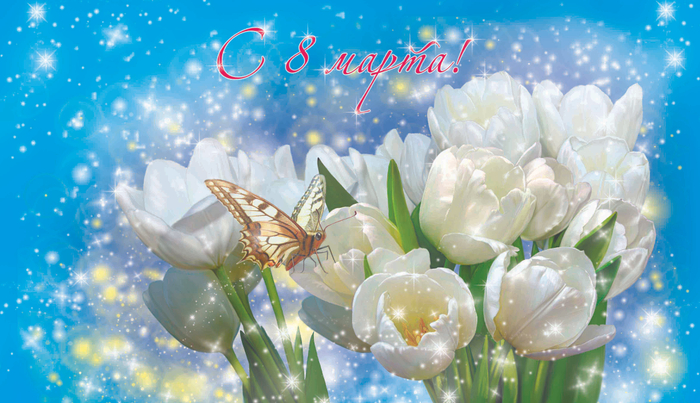 белые тюльпаны