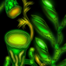 Инопланетная флора