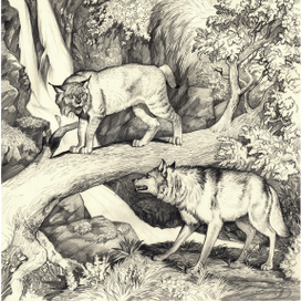 Рысь и волк, рисунок, карандаш