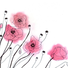 Иллюстрация Маки для открыток