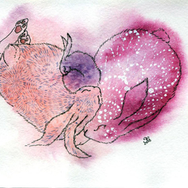 кролячья нежность