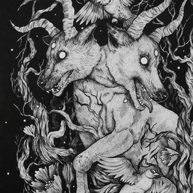 Таинственный лес