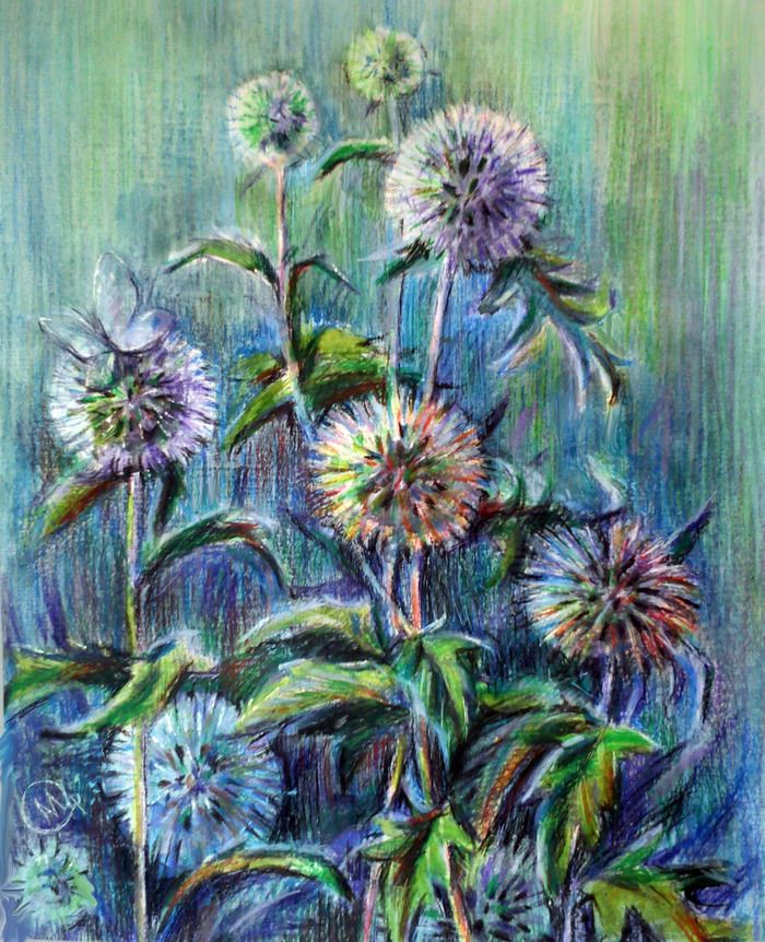 Синеголовник