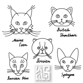 Монолинейные изображения пород кошек