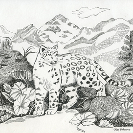 Снежный барс