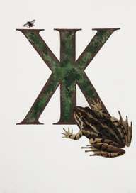 Азбука. Буква Ж.