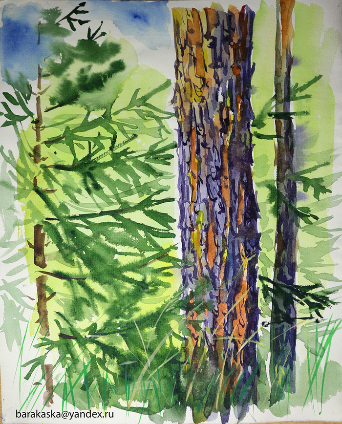 на берегу Аремзянки