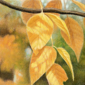 Осенние мотивы