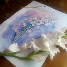 Веточка гладиолуса