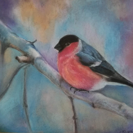 Сухая пастель