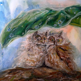 В один дождливый летний день...